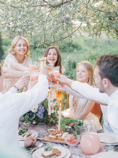 Group of friends having a picnic holding up glasses to cheers